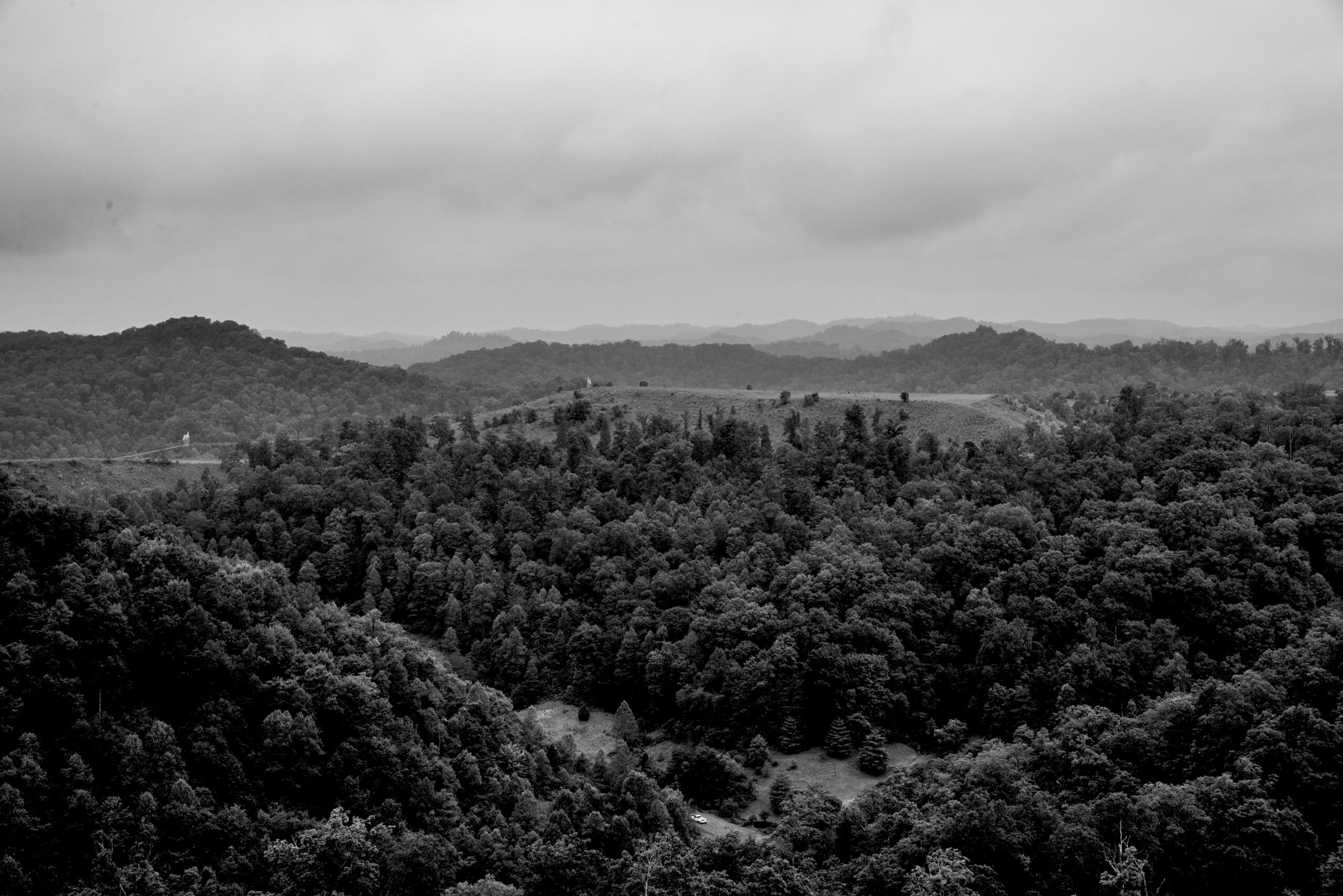 Banner Photo