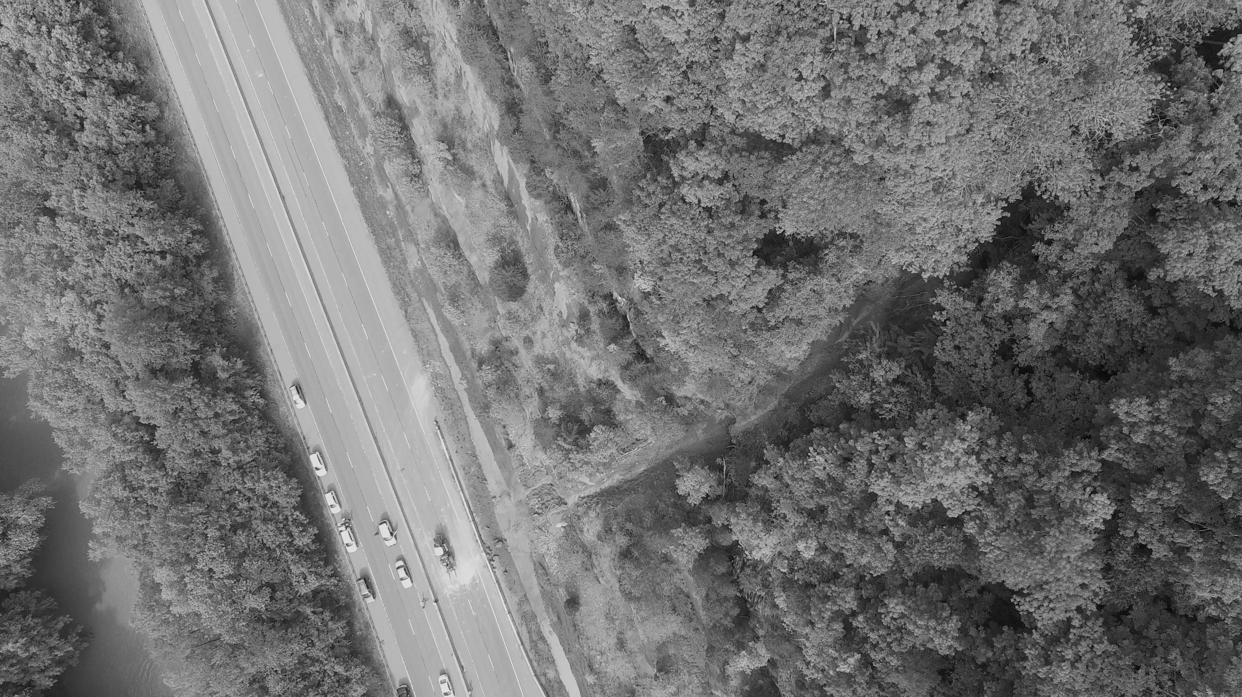 Banner Photo 2 Banner Photo